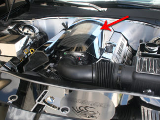 Plenum Cover Perforated works only w/ACC Replacement Fuel Rail Covers 2012 Dodge Charger SXT Plus