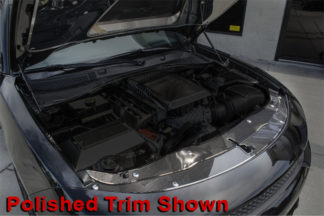 Front Header Plate Carbon Fiber w/Satin Trim 2pc 2017 Dodge Charger Daytona 392