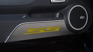 Camaro-Door Panel Insert