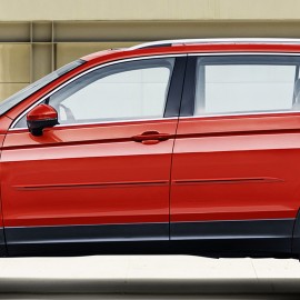 VW Tiguan PAINTED BODY MOLDING w/COLOR INSERT