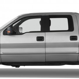 FORD F-150   SUPER CREW CAB PAINTED BODY MOLDING