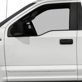 FORD F-150   REG CAB PAINTED BODY MOLDING