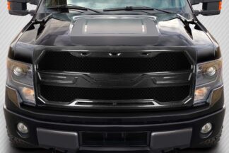 2009-2014 Ford F-150 Carbon Creations Rage Grille – 1 Piece